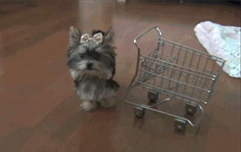 Empty Cart